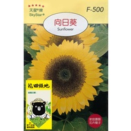 花田綠地種子-向日葵