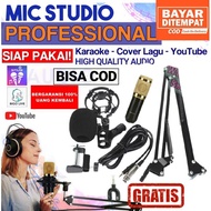 Microphone MICROPHONE Record Package MIC BM 800 BM800 Ready To Use SMULE STARMAKE Money Back Guarant