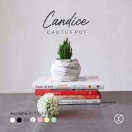 Concreate LIVING Pot Cactus 8cm Candice Home Decor 8cm Aesthetic Pot/Hydroponic Pot/Table Decoration