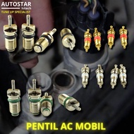 CAR AC FREON VALVE R134A R12 Japan Europe filling valve r134a refrigerant