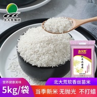 Beida Wild Rice 5kg Silk Rice Southern Square Long Grain Fragrant Rice Direct Sales 3kg 5kg Long Gra