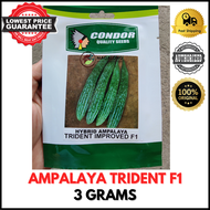 CONDOR SEEDS - AMPALAYA SEEDS - TRIDENT IMPROVED F1 HYBRID 3 GRAMS