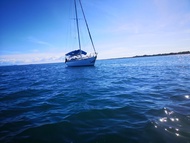 納迪灣的2臥室獨棟住宅 - 50平方公尺/1間專用衛浴 (Two Bedroom 40FT Sailing Yacht(max can  sleep 7))