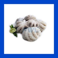 Baby Octopus 6 pieces I 小章鱼6只 ( For Klang Valley Only )