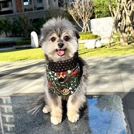 澳洲Happy Go Puppy 寵物領巾-胡桃鉗進行曲