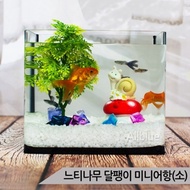 Zelkova Snail Mini Fish Tank Set (Small) Glass Aquarium Set