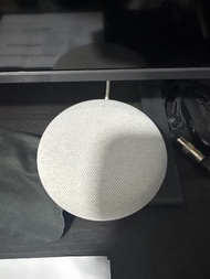 Google Nest Mini with US Adapter