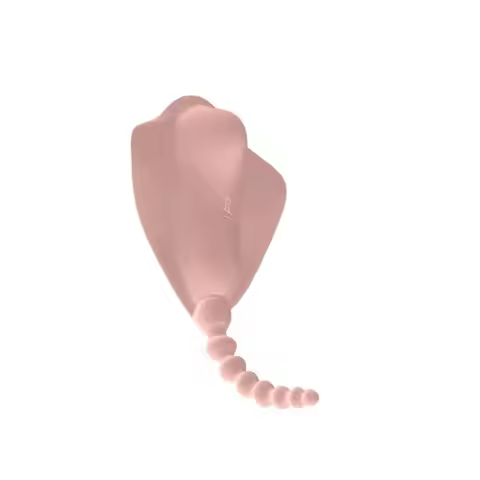 Wearable Panty Vibrator for Women, APP Remote Control, 9 Vibration Modes, Rechargeable Clitoral Mass