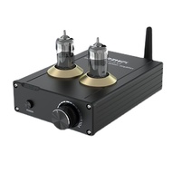 BRZHIFI NS-6A2 NS4255 6A2 fever-grade HiFi Bluetooth 5.0 tube small digital amplifier