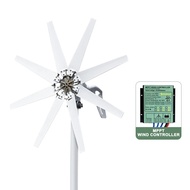 1kw 1000w Horizontal Strong Wind Turbine Generator 48V 24V 12V Power Magnetic Dynamo Free Energy 220