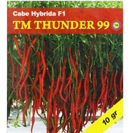 Benih Cabe Kriting TM Thunder 99 Cabe Hibrida F1 Benih Cabai