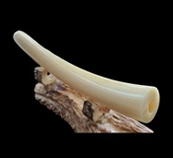 Pipa Once Duyung Bulat Pucuk Original