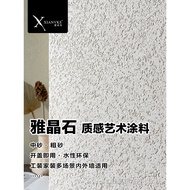Shanok Art Paint Art Paint Art Paint Elegant Spar Stagate Texture Paint Wall Paint Imitation Hole St