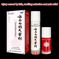 Yunnan Baiyao Aerosol Spray Muscle soreness, pain relief,traumatic injury, bruises and joint pain云南白