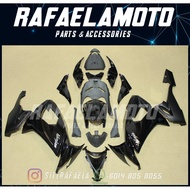 Kawasaki ZX-10R Full Coverset Year 2008-2010 Fairing 16