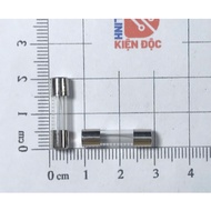 [Combo of 20] Glass fuse 10A 250V 5x20mm F10AL250V
