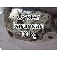 10kg osyter osyter Shell/oyster Eoe/koi filter media/Fish Pond filter media/aquarium filter media/koi filter/Fish filter/aquarium filter