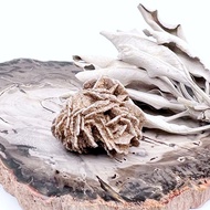 柔嶺。礦石 原石 療癒 放鬆情緒 l 沙漠玫瑰石 礦標 l