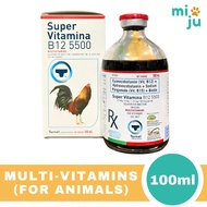 Super Vitamina B12 5500 100ml