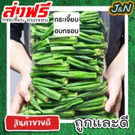 J&amp;N กระเจี๊ยบอบกรอบ 100g พร้อมทาน กระเจี๊ยบอบกรอบ ผักอบกรอบ ผลไม้อบกรอบ ขนมทานเล่น ผัก ผลไม้อบแห้งบ ผักและผลไม้อบกรอบ [พร้อมทาน] ไม่เหม็นหืน กรอบอร่อย ผักอบพิมรี่พาย ขนมกินเล่น ราคาถูก ส่งฟรี ส่งเร็ว ขนม ของกิน