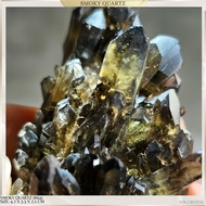 SMOKY QUARTZ CLUSTER MINI POINTS *HIGH QUALITY*[R64] from BRAZIL- Perfect Grounding, Cleansing & Pro