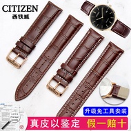 Citizen Eco-Drive Genuine Leather Watch With Men's And Women's Pin Buckle Cowhide Bracelet Accessories AU1083/NH8353/8350