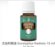 Eucalyptus radiata