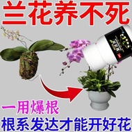 Hot Sale [Orchid Root] Root Root Root Root Root Dedicated Root Root Root Hollow Root Root Soil Steri