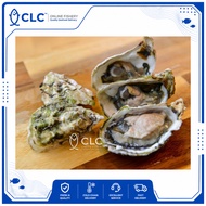 Frozen Oyster (冷藏生蚝)