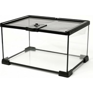 Small Reptile Glass Terrarium Tank, Cage for Tarantula Sling Geckos, Frog, Lizards, Chamel