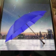 Big navy umbrella - large plain umbrella