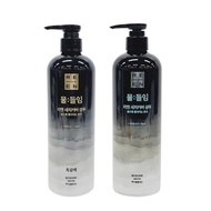 LG Lien Dye Gray Cover Shampoo 450ml Hair Dye