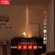 Precise Concentrating Ceiling Light Multi-Beam Angle 5 Degrees 8 Degrees 10 Degrees Embedded Entranc