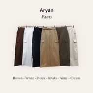 Aryan pants