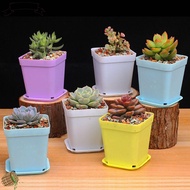 TUQIAO47503 5pcs Garden Decoration Supplies Succulent Planter Saucer Flower Pots Plant Decor Tray Nursery Vase Mini Basin