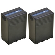 Kastar BP-U68 Multifunctional Battery 2 Pack for BP-U60 BP-U65 BP-U90 BP-U30 and PMW-200 PMW-300 PMW