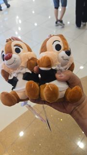 迪士尼奇奇蒂蒂毛絨公仔