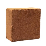 Coco Peat Powder