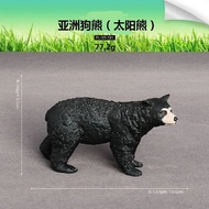 Đồ Chơi Mô Hình Động Vật Đứng Gấu bROWN Gấu Túi Chó Mặt Trời Gấu Nhỏ Gấu Trúc Đồ Chơi Trẻ Em Bằng Nh