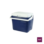Standard Plastic Insulated Cooler Box L45xW29xH38cm, 23L/24.3Qt