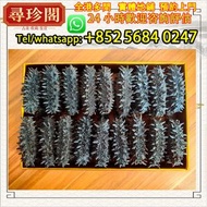 免費評估 實體店鋪：海參 俄羅斯海參 薩哈林大紅30頭 花膠，魚膠，靚花膠，房膠，蜘蛛膠，白花膠，花膠筒，筒膠，赤嘴鳘魚膠，赤嘴鳯魚膠，赤嘴鰩魚膠，小須金錢膠，大鬚金錢鳘魚膠，本港赤嘴小須金錢膠，舊花