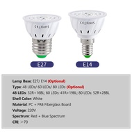 LED Grow Light Bulb for Indoor Plants Red & Blue Spectrum Plant Bulbs E14 Growing Lamp Seedlings Hyd