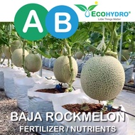 🔥NEW🔥 Baja Rock Melon AB Fertigasi Hydroponics Aeroponic Hydroponic Rockmelon Fertilizer Nutrients dan BAJA CDE