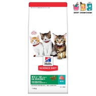 Hills Science Diet Cat Food Kitten up to 12 months Tuna 1.4kg Dry Trial Sample