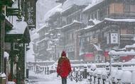 Ginzan Onsen & Zao Snow Monsters 2-Day Romantic Tour