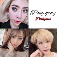 คอนแทคเลนส์ Pitchy lens รุ่น pony เทา