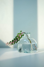 法國La Soufflerie玻璃瓶/玻璃/花瓶/花樽