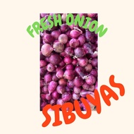 Sibuyas Fresh Onions 1Kilo Local Harvest