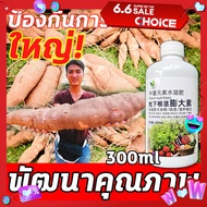 💥ใหญ่!!!💥FM ฮอร์โมนมันสำปะหลัง ผงนัวฉีดมัน ปุ๋ยเร่งหัวมัน 300ml ป้องกันการแตกร้าว ขยายตัวอย่างรวดเร็ว ต้านทานโรค เพิ่มผลผลิต และปรับปรุงคุณภาพ เหมาะสำหรับพืชใต้ดินหลายชนิด ผักราก ผงดำkga ปุ๋ยมันสำปะลัง ปุ๋ยทางใบมันสำปะหลัง ผงดำฉีดมัน ปุ๋ยระเบิดหัว