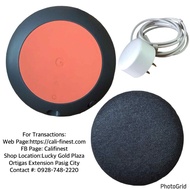 Google Home Mini Chalk Grey Model H0A